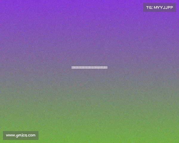 高效整理装备的技巧与方法,提升你的生活与工作效率